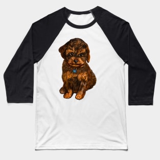 Cavapoochon Cavapoo Cavoodle  black and tan- cute cavalier King Charles spaniel Bichon frise Baseball T-Shirt